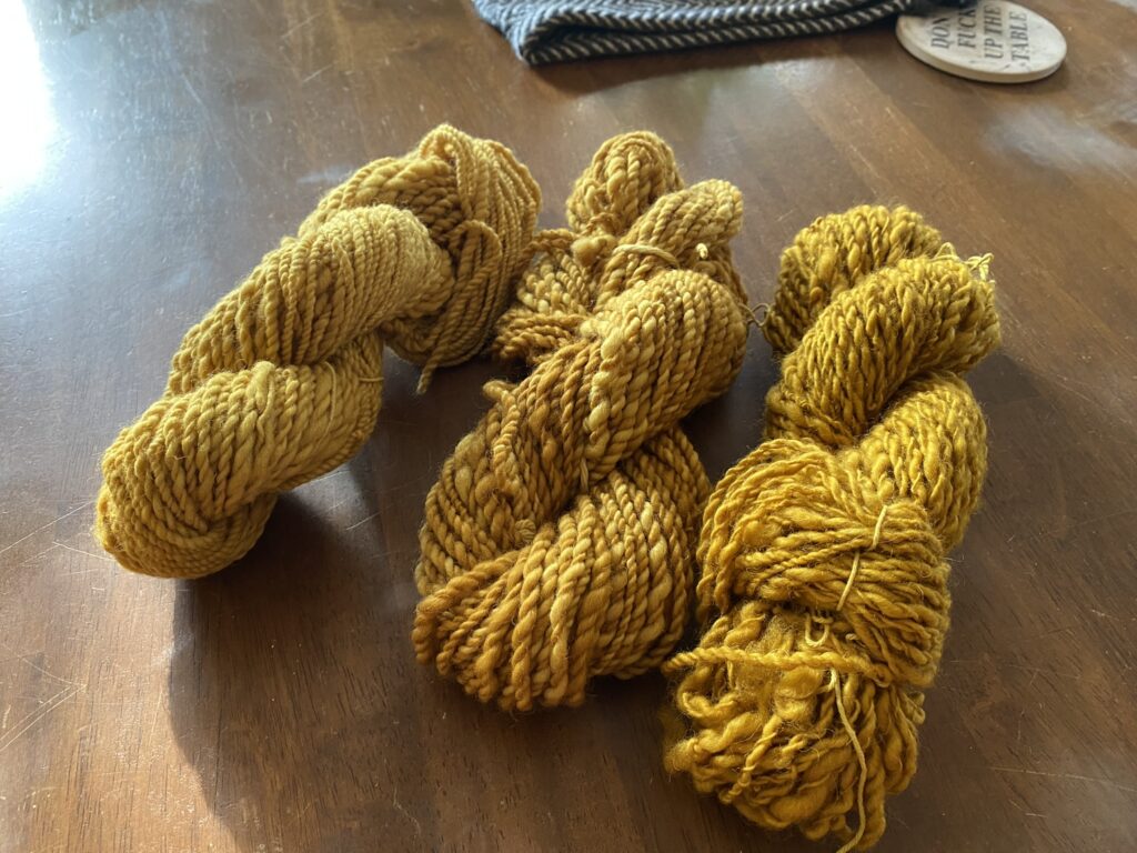 my first attempts at both hand spinning and dyeing wool